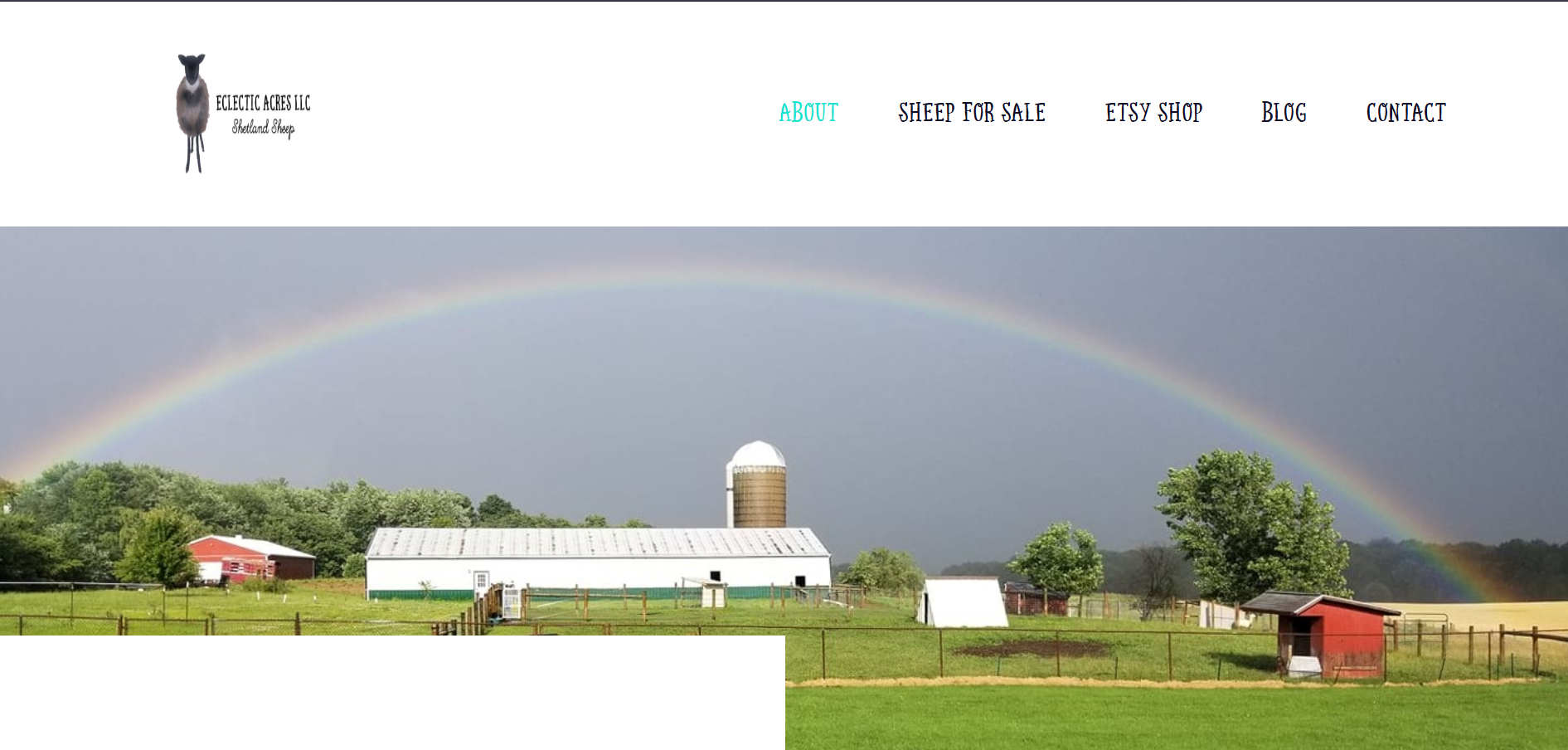 Screenshot of Eclectic Acres, LLC heritage sheep farm in Minerva, OH.